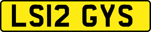 LS12GYS