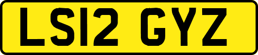 LS12GYZ