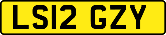 LS12GZY