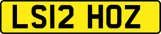 LS12HOZ