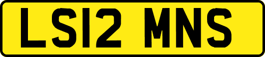 LS12MNS