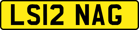 LS12NAG