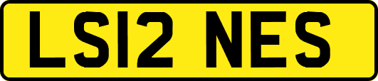 LS12NES