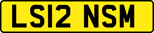 LS12NSM