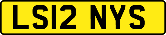 LS12NYS