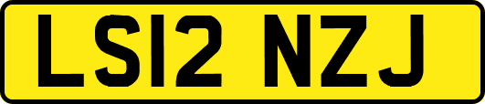 LS12NZJ