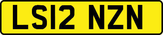 LS12NZN