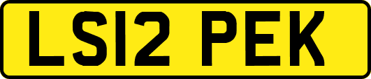 LS12PEK