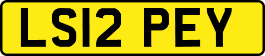 LS12PEY