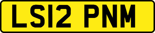 LS12PNM