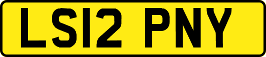 LS12PNY