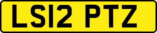LS12PTZ