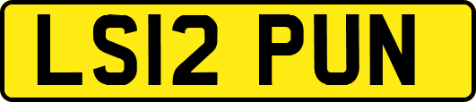 LS12PUN