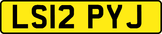 LS12PYJ