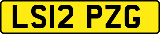 LS12PZG