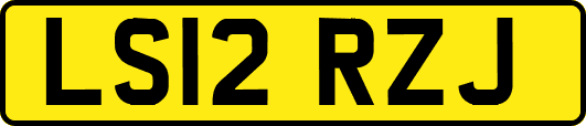 LS12RZJ