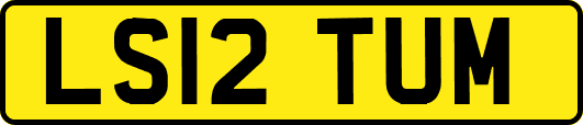 LS12TUM