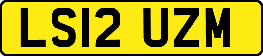 LS12UZM