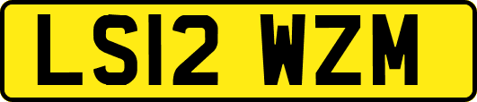 LS12WZM