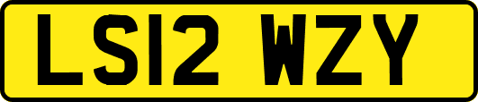 LS12WZY