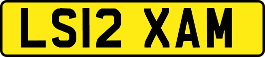 LS12XAM