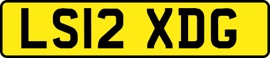 LS12XDG