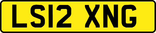 LS12XNG