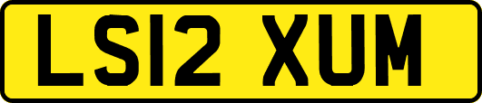LS12XUM