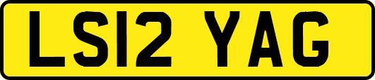 LS12YAG