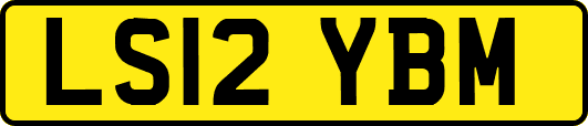 LS12YBM