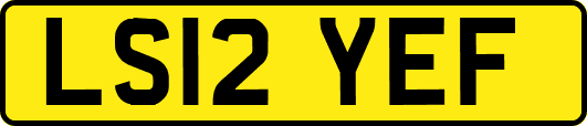 LS12YEF