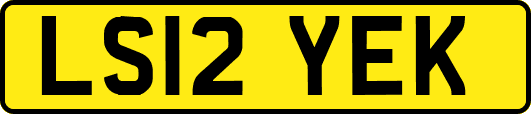 LS12YEK