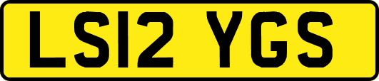 LS12YGS