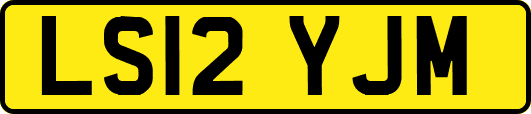 LS12YJM