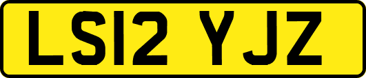 LS12YJZ
