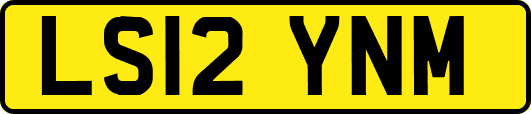 LS12YNM