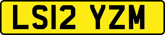 LS12YZM