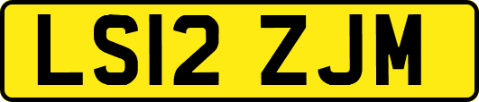 LS12ZJM
