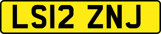 LS12ZNJ