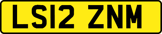 LS12ZNM