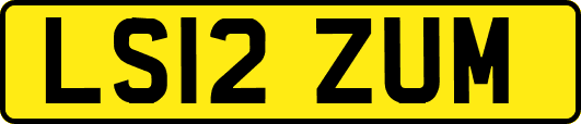 LS12ZUM