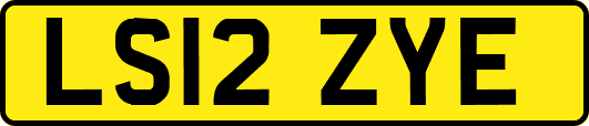 LS12ZYE