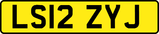 LS12ZYJ