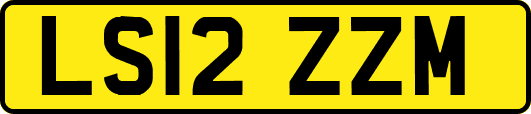 LS12ZZM