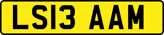 LS13AAM