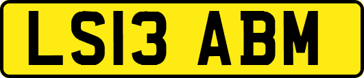 LS13ABM