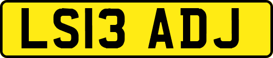 LS13ADJ