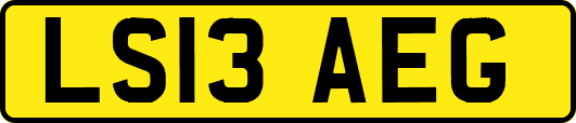LS13AEG