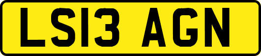 LS13AGN
