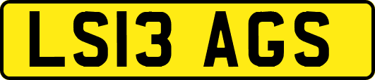 LS13AGS